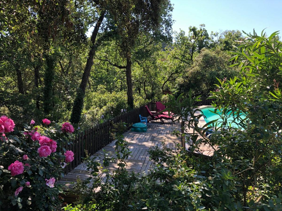 La Bastide De Mauragne - Gite Les Iris Apt Exteriör bild