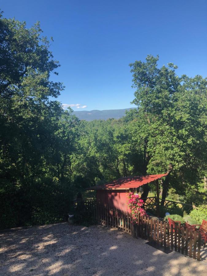 La Bastide De Mauragne - Gite Les Iris Apt Exteriör bild